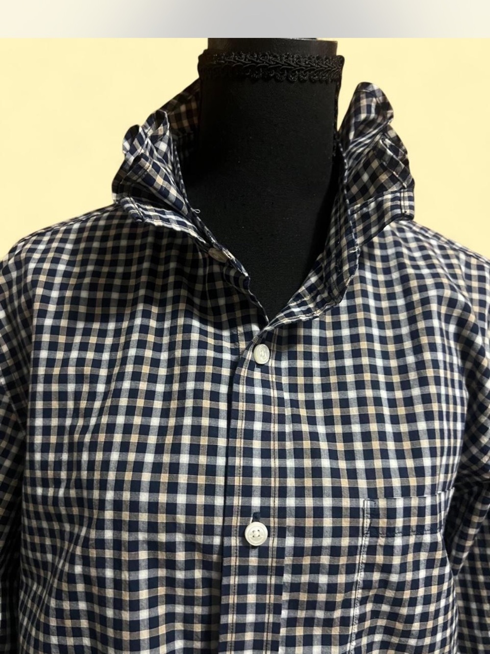 Banana Republic Navy and White Gingham Shirt